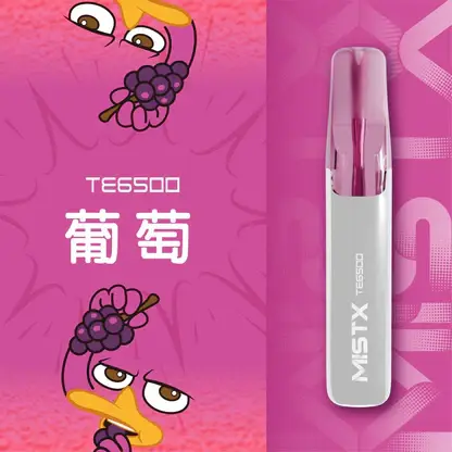 Mist X 鴨嘴獸6500口拋棄式電子煙｜創意流線造型・高容量續航配置・細膩霧化體驗