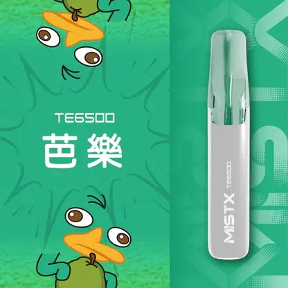 Mist X 鴨嘴獸6500口拋棄式電子煙｜創意流線造型・高容量續航配置・細膩霧化體驗