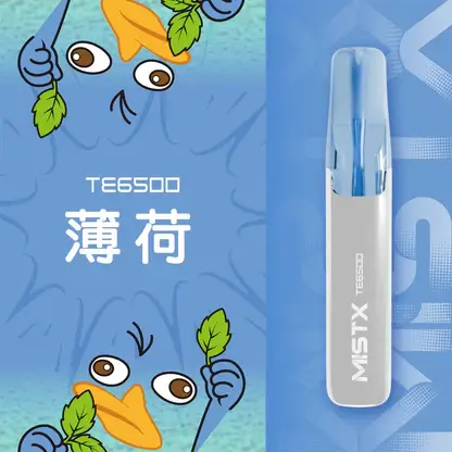 Mist X 鴨嘴獸6500口拋棄式電子煙｜創意流線造型・高容量續航配置・細膩霧化體驗