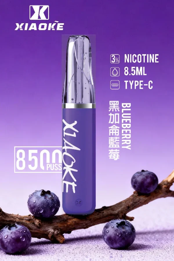 8b2c17ea1d548700b8e9ec2a9e768390.jpg XIAOKE 梟客 8500口拋棄式電子煙|順暢尼古丁鹽・輕巧大儲油量・Type-C長效續航